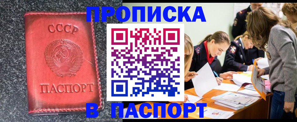 прописка для школы в Бокситогорске